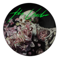 The Used - Toxic Positivity - Indie Picture Disc LP [ Record ]
