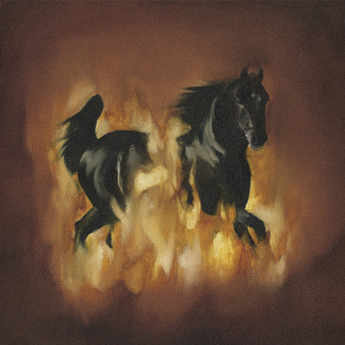 The Besnard Lakes: The Besnard Lakes Are The Dark Horse [ Vinyl ]