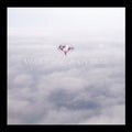 Minus Story: My Ion Truss [ Vinyl ]