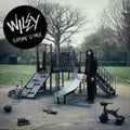Wiley: Playtime Is Over { CD }