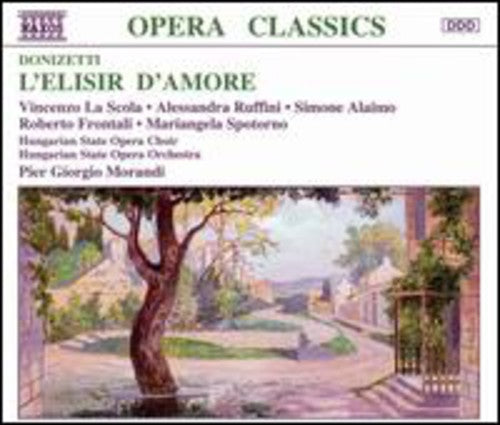 Pier Giorgio Morandi: L'elisir D'amore { CD }