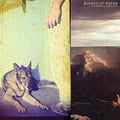 Bodies of Water: A Certain Feeling [ Vinyl ]