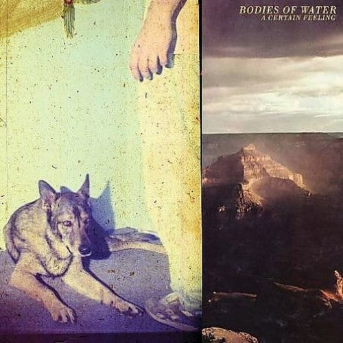 Bodies of Water: A Certain Feeling [ Vinyl ]