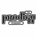 Prodigy: Experience [ Vinyl ]