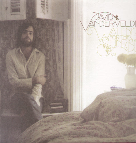 David Vandervelde: Waiting for the Sunrise [ Vinyl ]