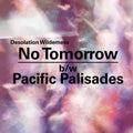 Desolation Wilderness: No Tomorrow/Pacific Palisades - 7-INCH SINGLE