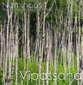 Numinous: Vipassana { CD }