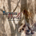 Deborah Martin & Erik Wollo: Between Worlds - COMPACT DISCS