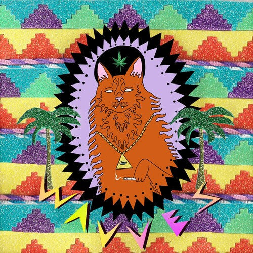 Wavves: King of the Beach - COMPACT DISCS