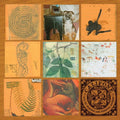 Califone: All My Friends Are Funeral Singers - VINYL