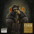 Fluent Form: Furnace { CD }