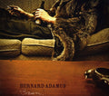 Bernard Adamus: Brun { CD }