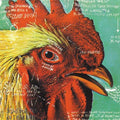 Pavement: Watery, Domestic [ Vinyl ]