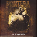 Pantera - Far Beyond Driven - LP [ Record ]