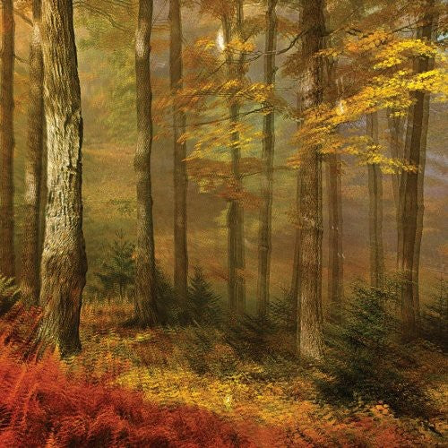 People of the North: Deep Tissue [ Vinyl ]