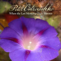 Peter Ostroushko: When the Last Morning Glory Blooms { CD }
