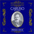 Enrico Caruso: Enrico Caruso in Song (1910-1920) { CD }