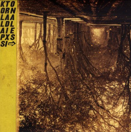 Thee Silver Mt. Zion: Kollaps Tradixionales [With CD] [With Book] [With Poster] [Deluxe Edition] [ Vinyl ]