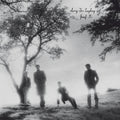 Josef K: Sorry for Laughing [ Vinyl ]