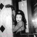 Blood Orange: Coastal Grooves - VINYL