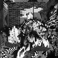 Gross Ghost: Public Housing - VINYL