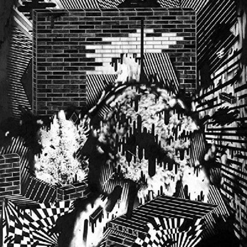Gross Ghost: Public Housing - VINYL