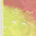 Adrianne Lenker - Live At Revolution Hall - RSD LP [ Record ]