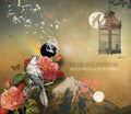 Beck Goldsmith: Hollows for Sorrows { CD }