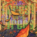 Forest for the Trees: Forest for the Trees - CD