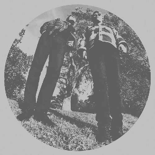 Ty Segall & White Fence: Hair [ Vinyl ]