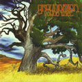 Groundation: Young Tree - CD