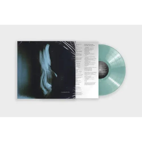 Tom Odell - A Wonderful Life - Indie LP [ Record ]