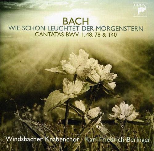 Windsbacher Knabenchor: Bach J.S: Cantatas { CD }