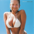 Aphex Twin - Windowlicker - 12" [ Record ]