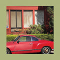 The Reds, Pinks and Purples - The Town That Cursed Your Name - LP [ Record ]
