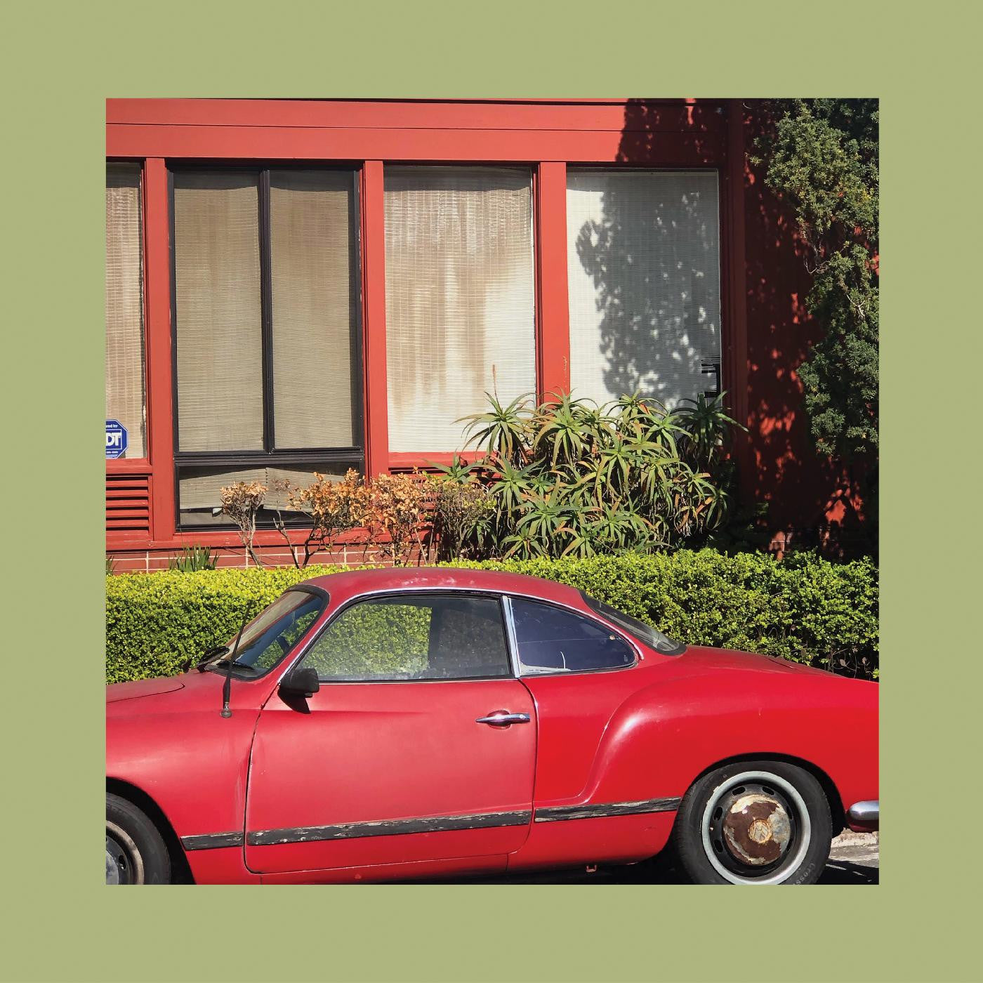The Reds, Pinks and Purples - The Town That Cursed Your Name - LP [ Record ]