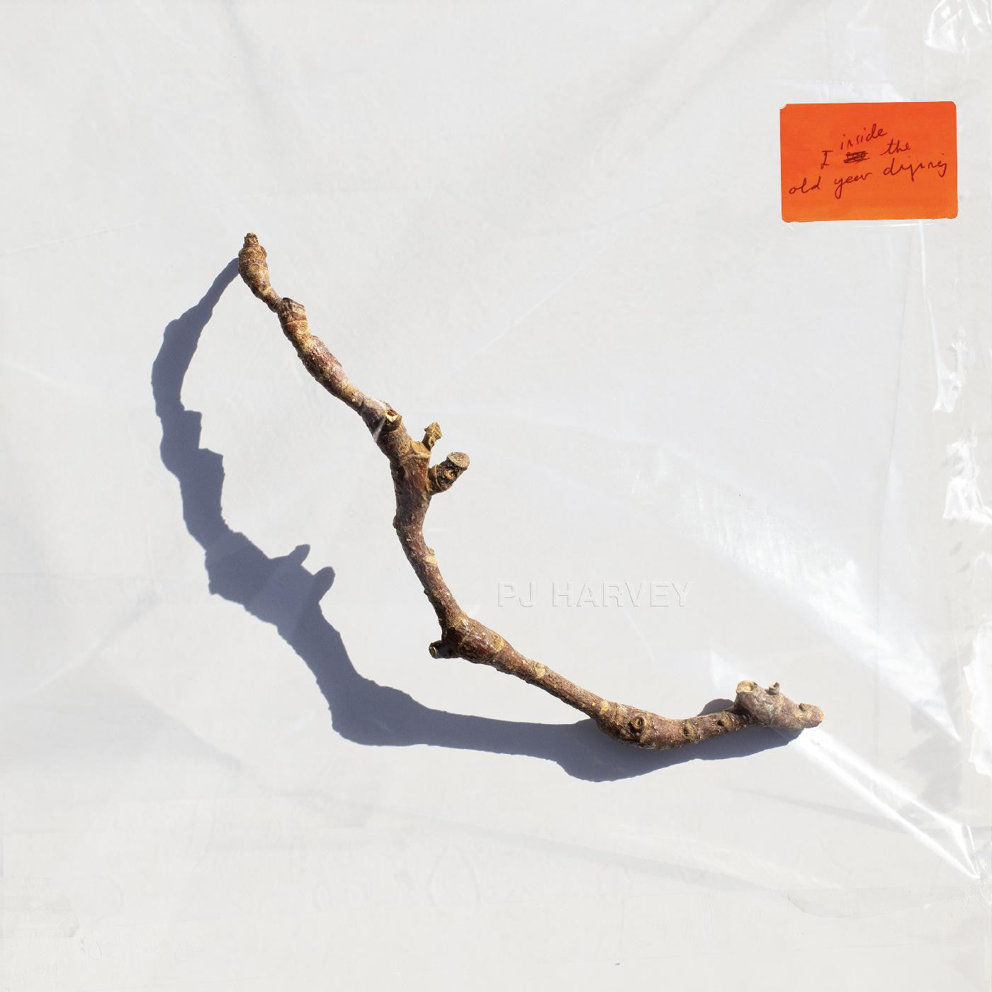PJ Harvey - I Inside the Old Year Dying - LP [ Record ]