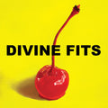 Divine Fits: A Thing Called Divine Fits - VINYL