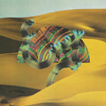 Django Django: Django Django - COMPACT DISCS