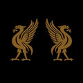 Joey Cape & Snodgrass, Jon: Liverbirds { CD }