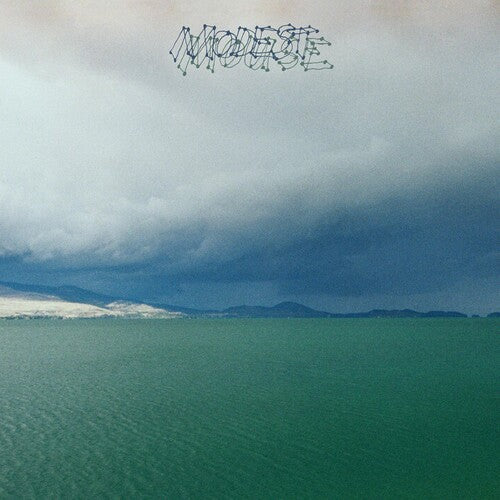 Modest Mouse: Fruit That Ate Itself - VINYL