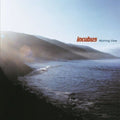 Incubus - Morning View - Music On Vinyl LP [ Record ]
