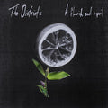 The Districts: Flourish and a Spoil - VINYL