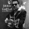 Jimmy Vaughan: Strange Pleasure { CD }