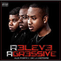 Releve Agressive: Aux Portes de la Victoire { CD }