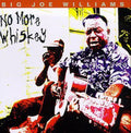 Big Joe Williams: No More Whiskey - COMPACT DISCS