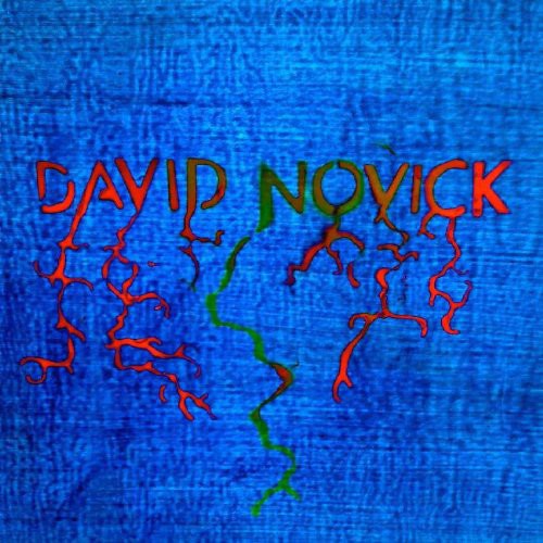 David Novick: David Novick [ Vinyl ]