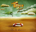 The Audreys: When the Flood Comes in - CD