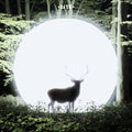 Lite: Installation [ Vinyl ]