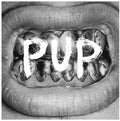 Pup: Pup - VINYL